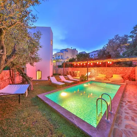 Roxy 3 Bedroom With One Of The Unique Gardens In Villa