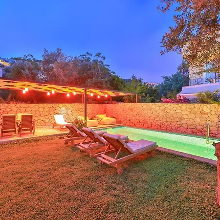 Roxy 3 Bedroom With One Of The Unique Gardens In Villa *