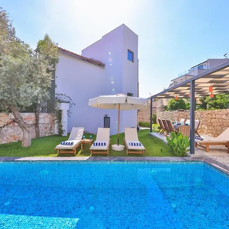 Roxy 3 Bedroom With One Of The Unique Gardens In Villa