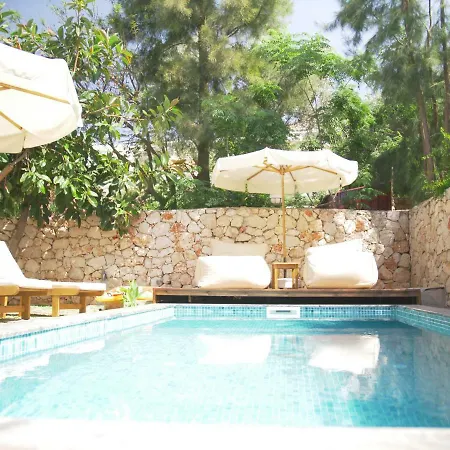 Villa Roxy 3 Bedroom With One Of The Unique Gardens In