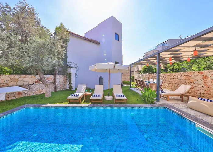 Roxy 3 Bedroom With One Of The Unique Gardens In Villa