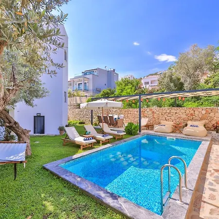 Roxy 3 Bedroom With One Of The Unique Gardens In Villa *