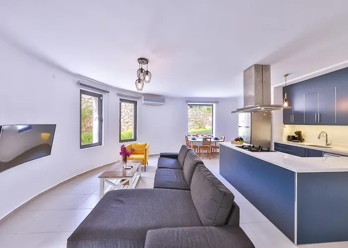 Roxy 3 Bedroom With One Of The Unique Gardens In Villa