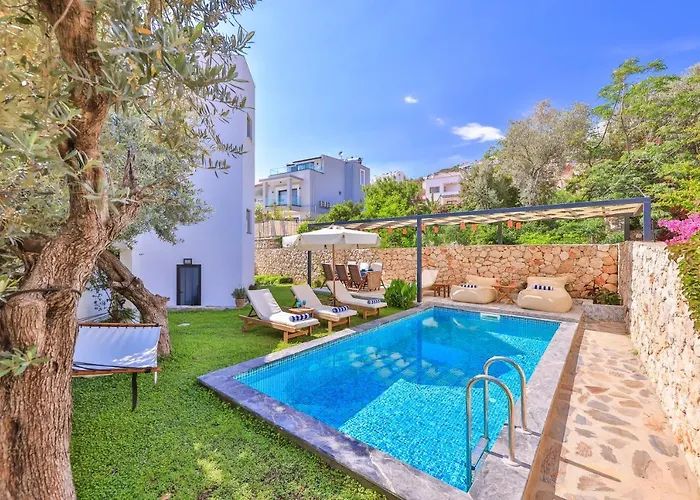 Roxy 3 Bedroom With One Of The Unique Gardens In Villa *