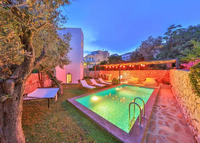 Roxy 3 Bedroom With One Of The Unique Gardens In Villa