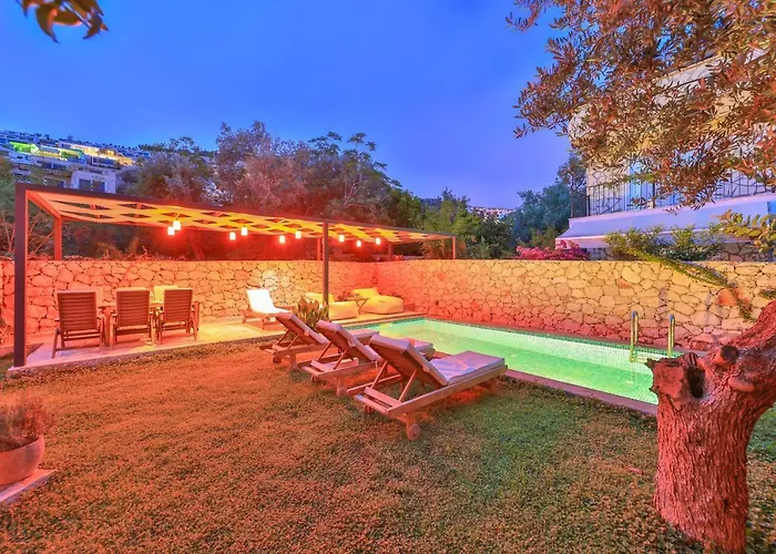 Roxy 3 Bedroom With One Of The Unique Gardens In Villa *