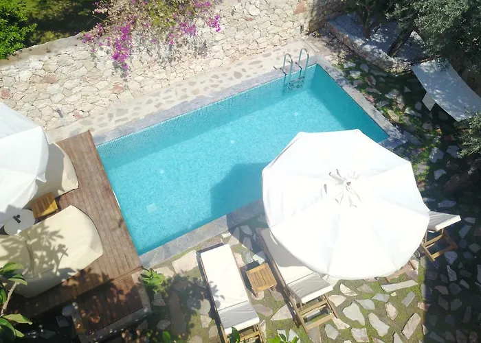 Roxy 3 Bedroom With One Of The Unique Gardens In Villa *