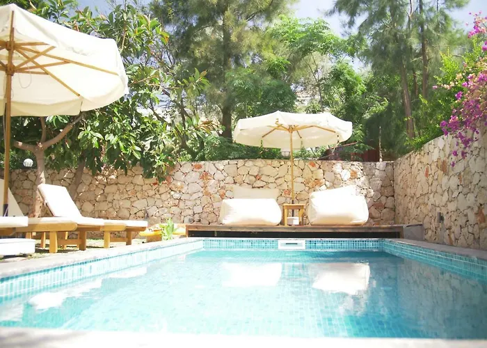Villa Roxy 3 Bedroom With One Of The Unique Gardens In