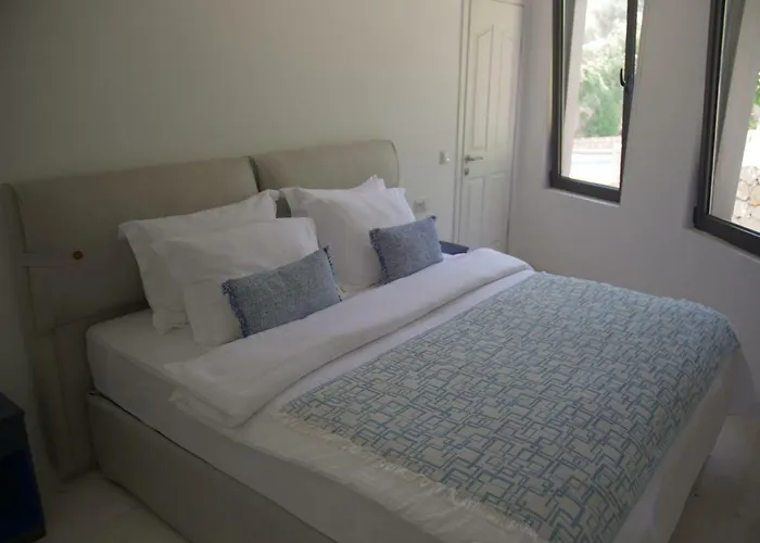 Roxy 3 Bedroom With One Of The Unique Gardens In *